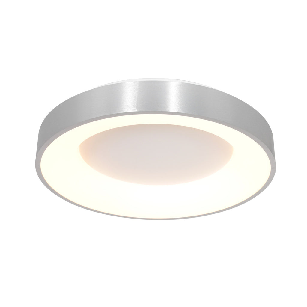 RINGLEDE Ceiling Lamp in Silver - Steinhauer | Milola