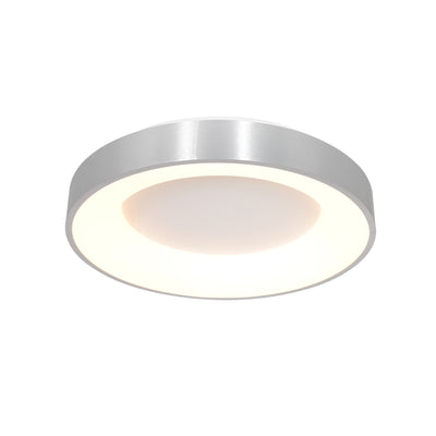 RINGLEDE Ceiling Lamp